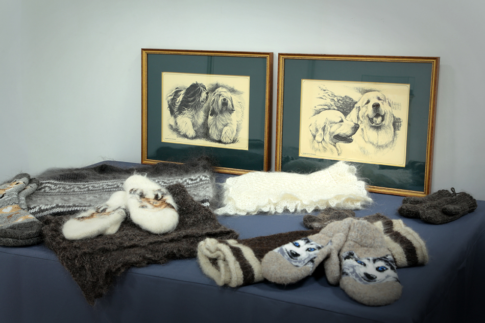 Экспозиция музея собак на интернациональной выставке собак «Огни Прикамья - 2019»